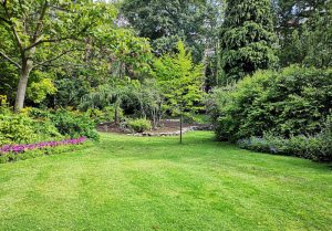 Optimiser l'expérience du jardin à Villars-en-Azois