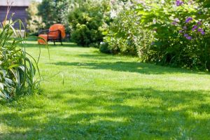 travaux jardin et paysage Villars-en-Azois